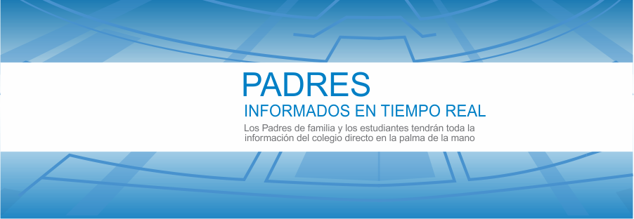 sistema para colegio